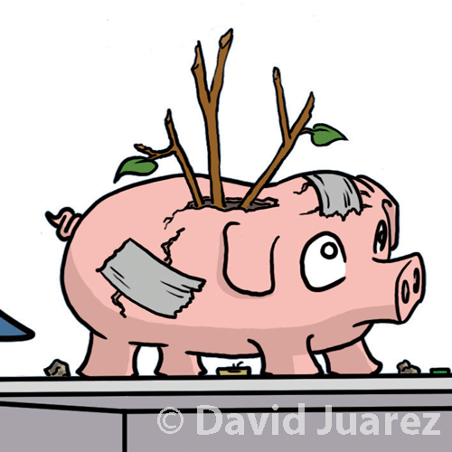 Don the Con book image